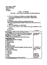 Giáo án Tiếng anh lớp 8 - Tiết 12 đến 19 - Năm học 2009-2010